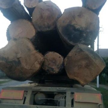 В Закарпатье остановили грузовик набитый «левым» товаром (ФОТО)