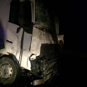 Ночное ДТП с летальным исходом возле Мукачево: Пассажиры умерли на месте (ФОТО)