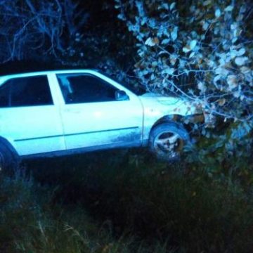 ДТП в Закарпатье: Пьяный водитель на венгерских номерах «встретился» с деревом (ФОТО)