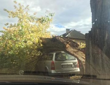 Машину растрощило: В соцсетях продолжают показывать ужасы мощнейшего урагана в Ужгороде (ФОТО, ВИДЕО)
