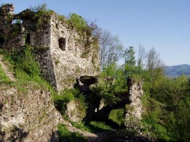 Известный археолог назвал перспективные места для раскопок в Закарпатье
